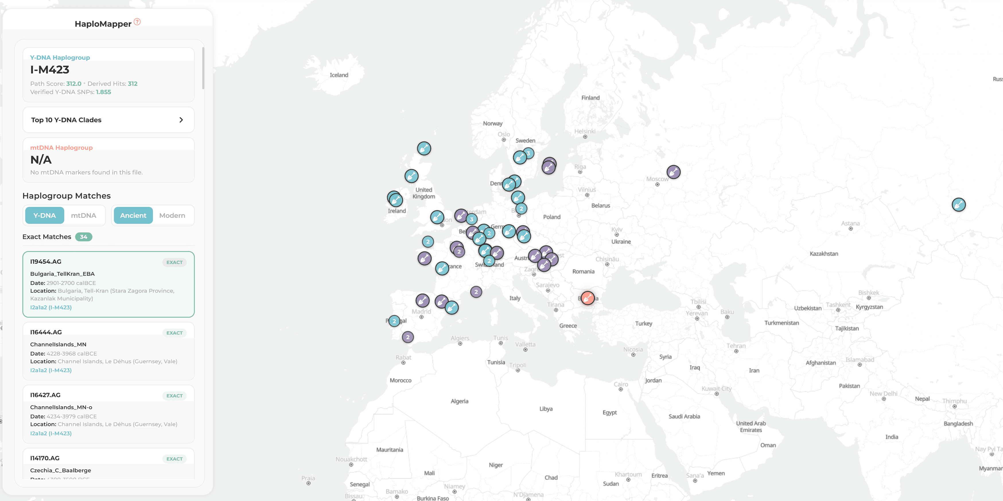 HaploMapper — Y-DNA & mtDNA prediction screen