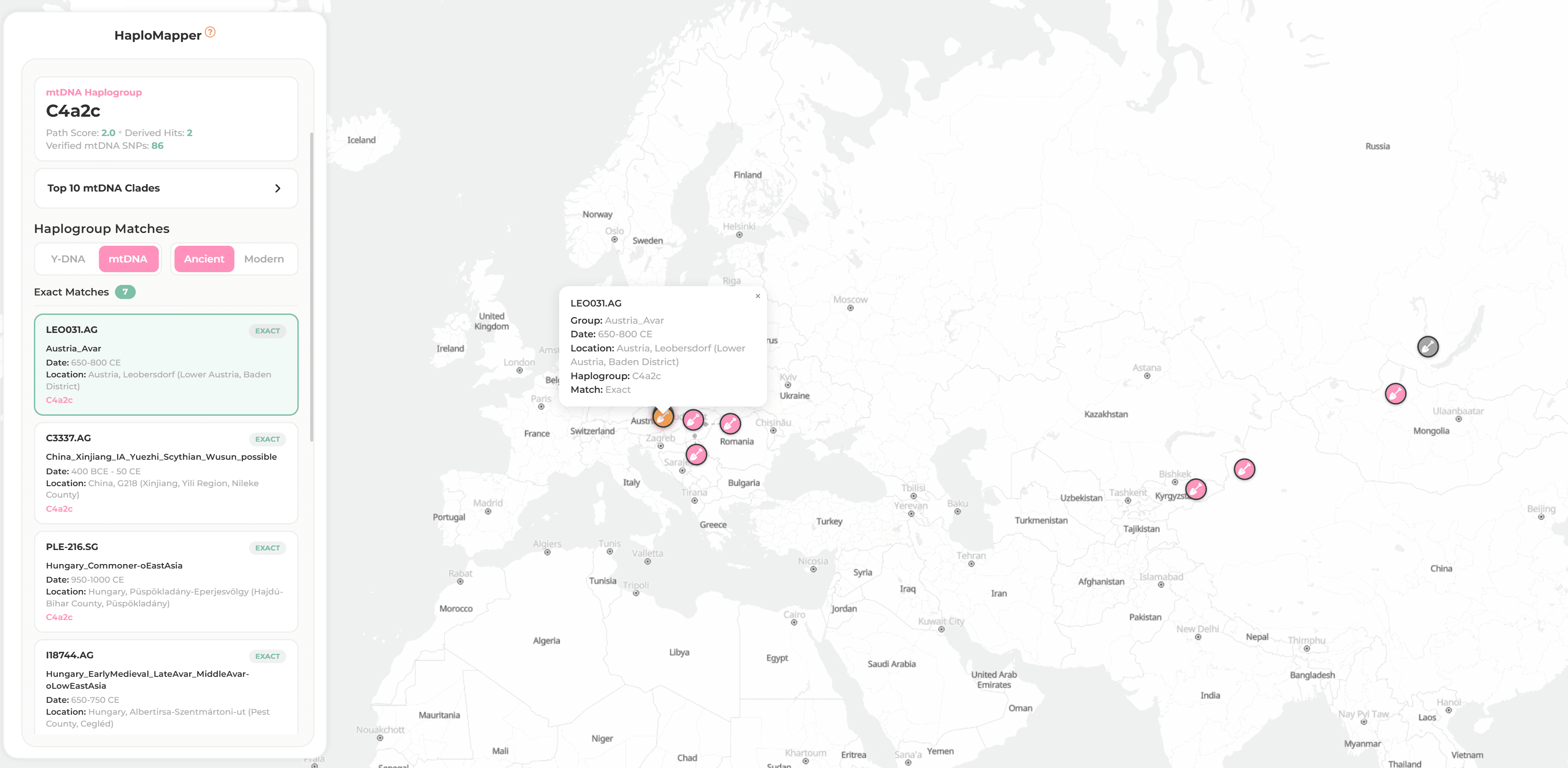 HaploMapper — haplogroup tree breakdown